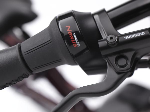 Electra Townie Commute Go! 5i Step Thru EU M Matte Oxblood Produktbild 8