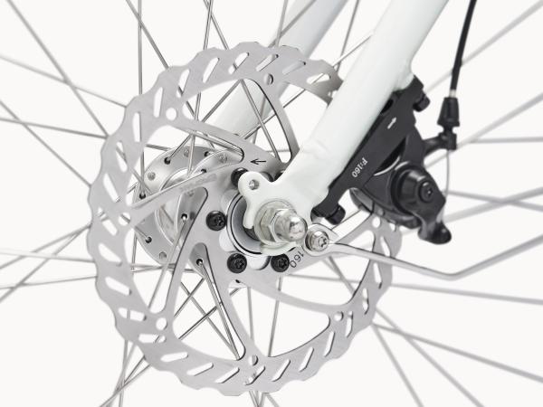 Electra Loft Go! 7D Step Thru EU M Stardust Produktbild 8