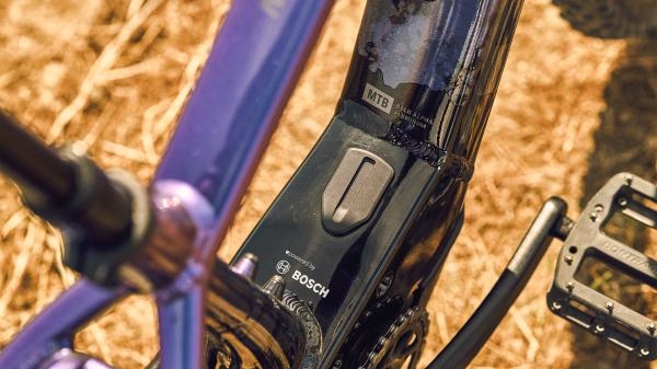 Trek Marlin+ 8 EU XL 29 Mercury Produktbild 14