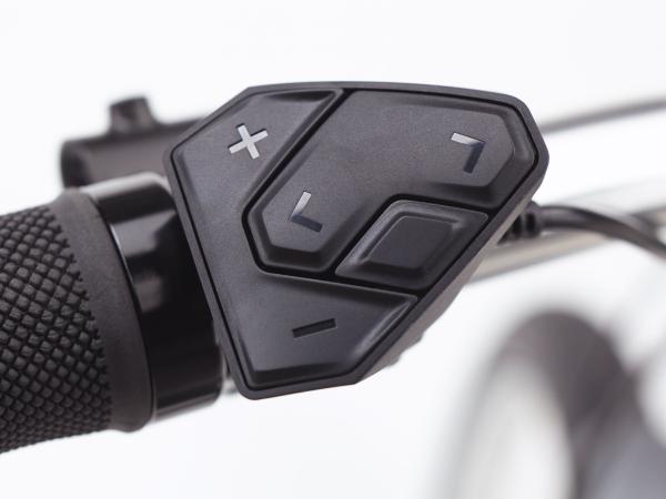 Electra Townie Path Go! 5i Step Thru EU M Holographic Produktbild 4